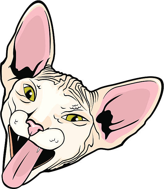 Sphynx Cat clipart #9, Download drawings