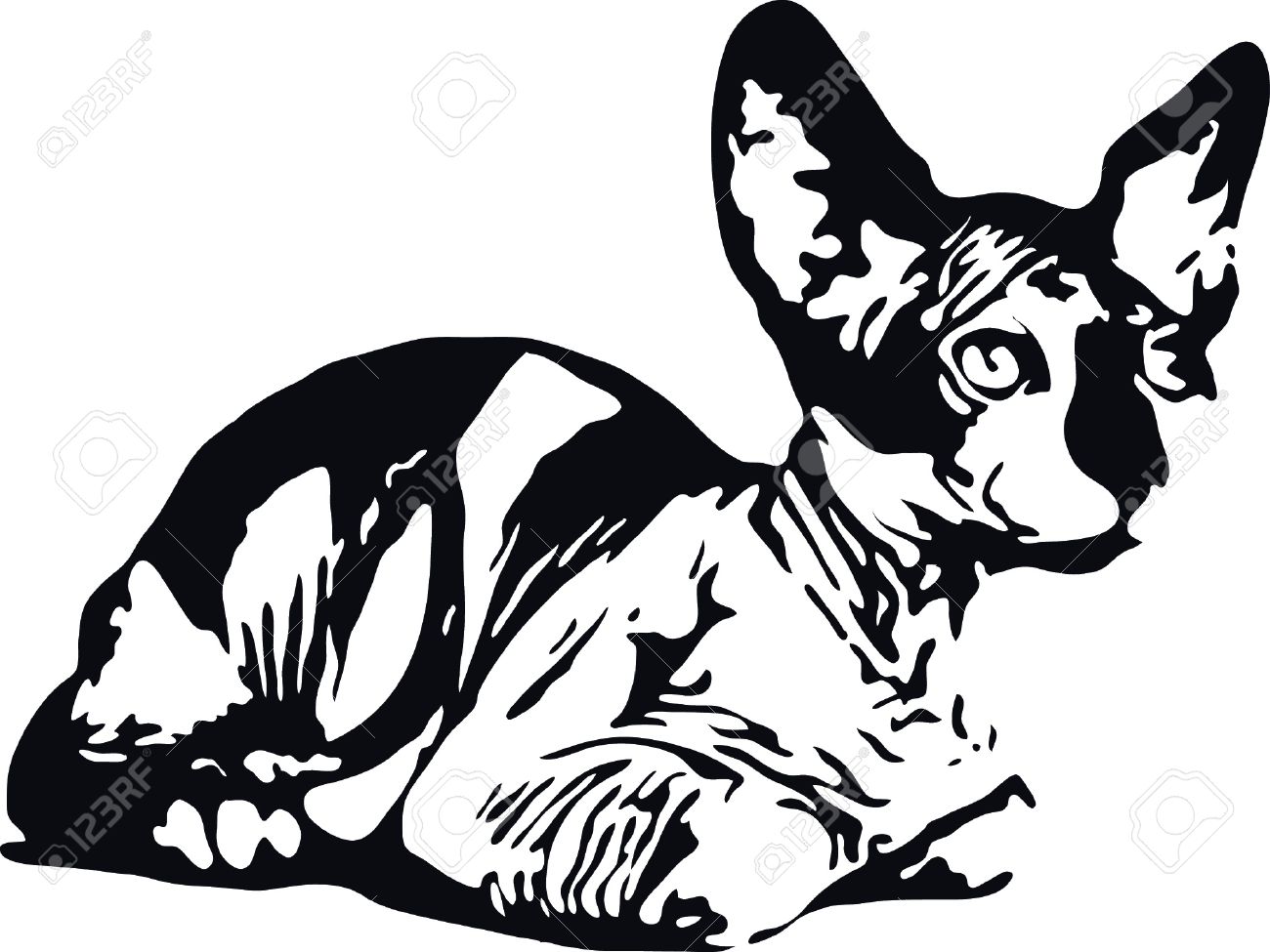 Sphynx Cat clipart #20, Download drawings