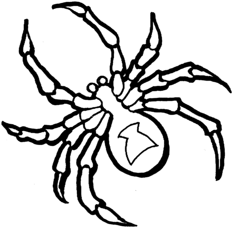 Spider coloring #8, Download drawings