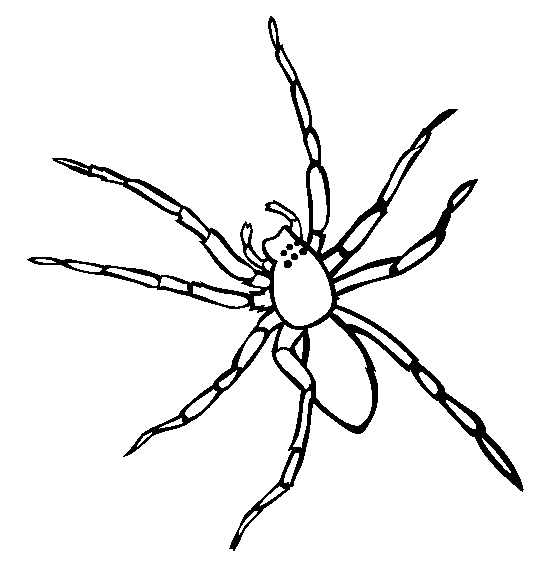 Spider coloring #10, Download drawings