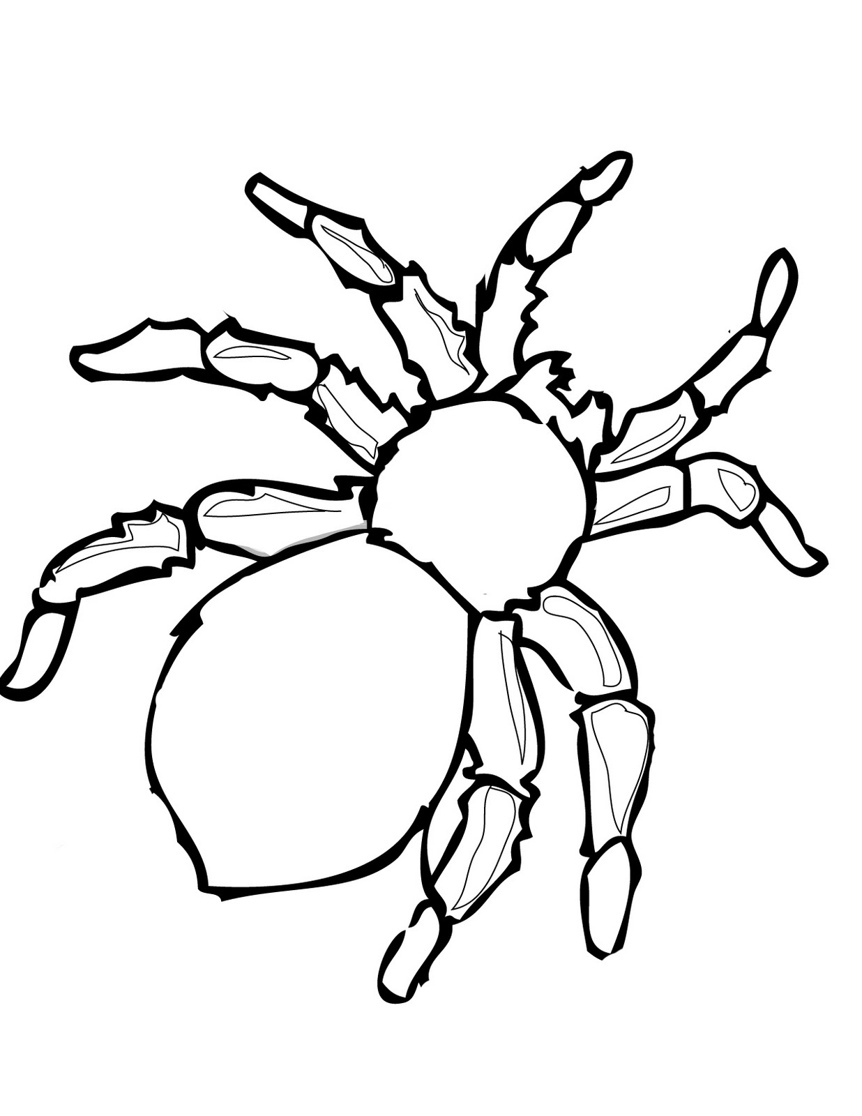 Spider coloring #12, Download drawings