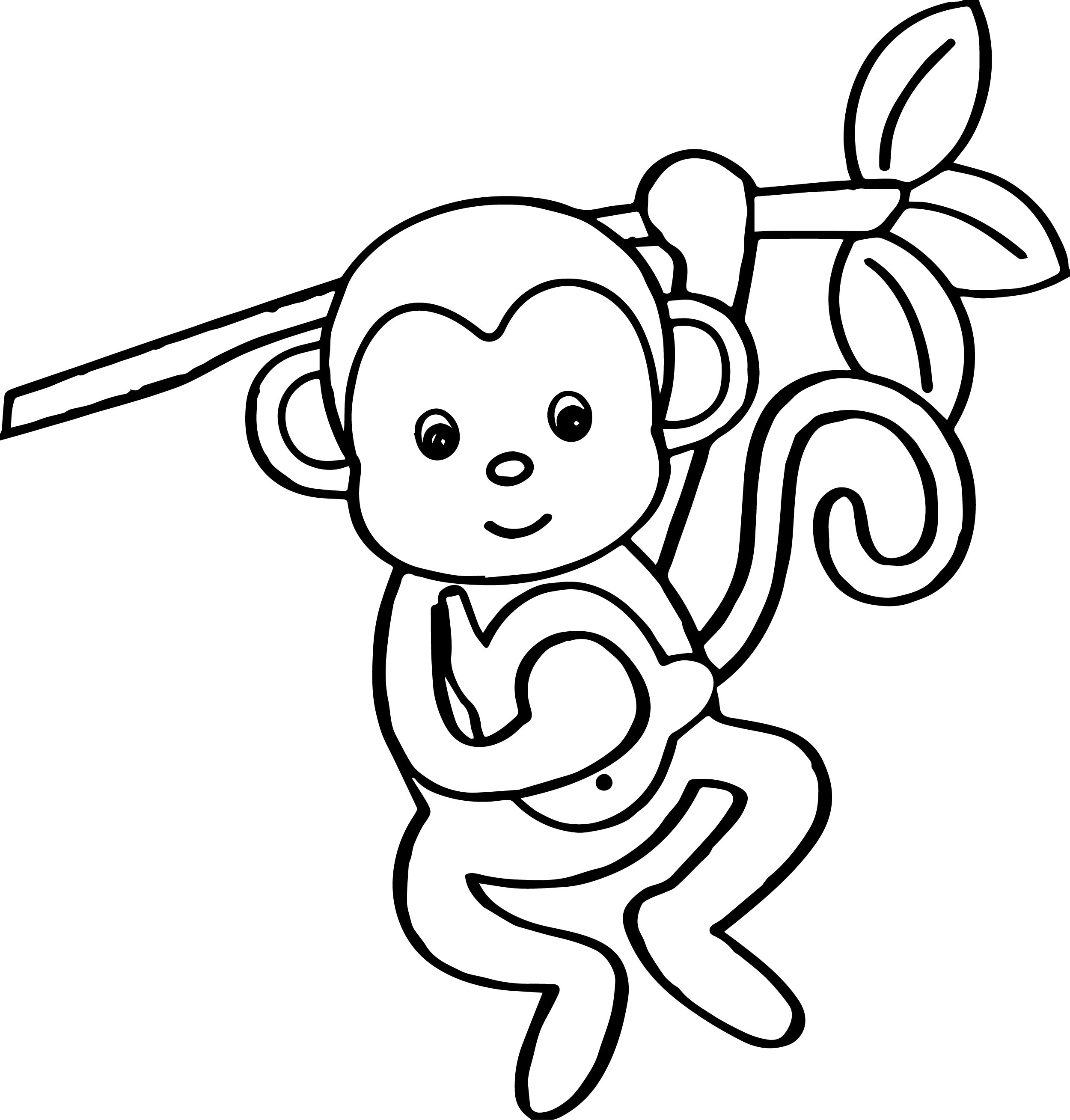 Spider Monkey coloring #14, Download drawings