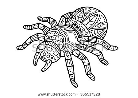 Spider Tortoise coloring #13, Download drawings