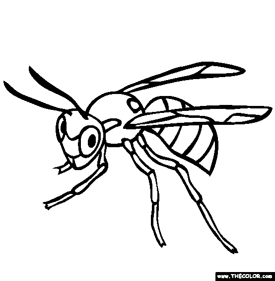 Spider Wasp coloring #1, Download drawings