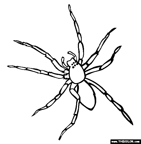 Wasp Spider coloring #20, Download drawings