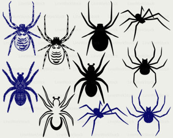 Spider Wasp svg #6, Download drawings
