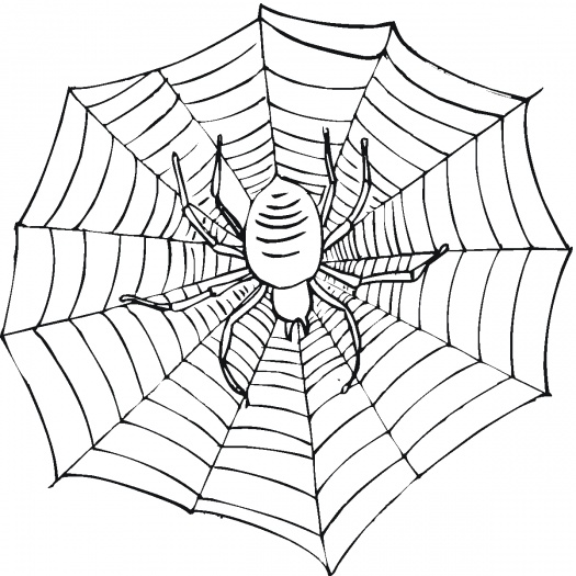 Spider Web coloring #8, Download drawings