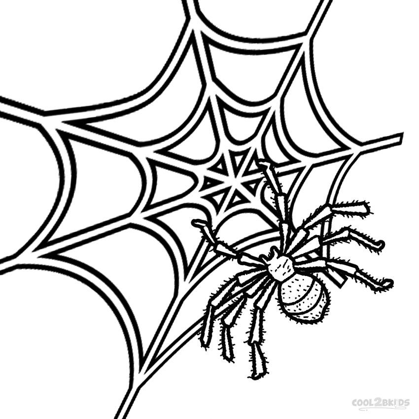 Spider Web coloring #13, Download drawings