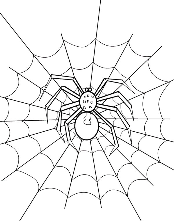Spider Web coloring #9, Download drawings