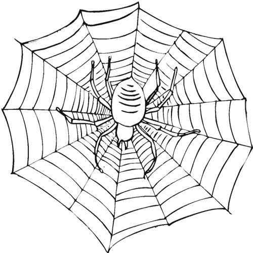 Spider Web coloring #7, Download drawings