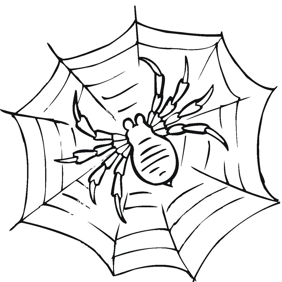 Spider Web coloring #2, Download drawings