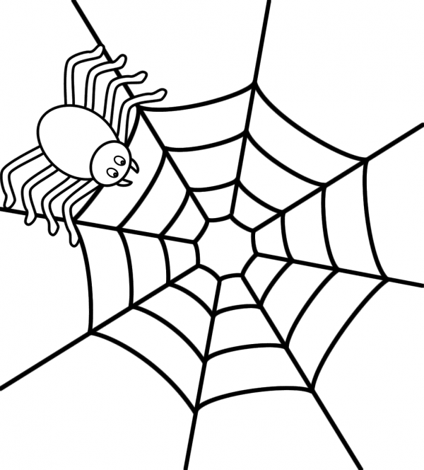 Spider Web coloring #11, Download drawings