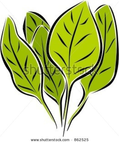 Spinach clipart #13, Download drawings