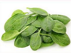 Spinach clipart #14, Download drawings