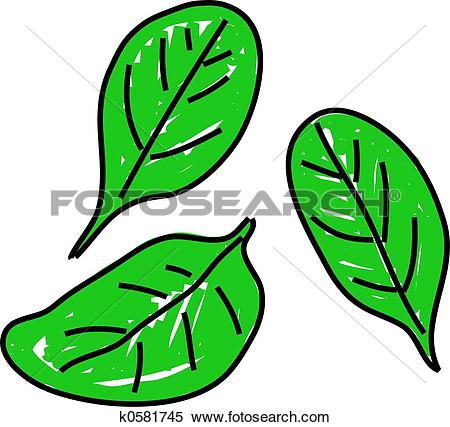 Spinach clipart #5, Download drawings