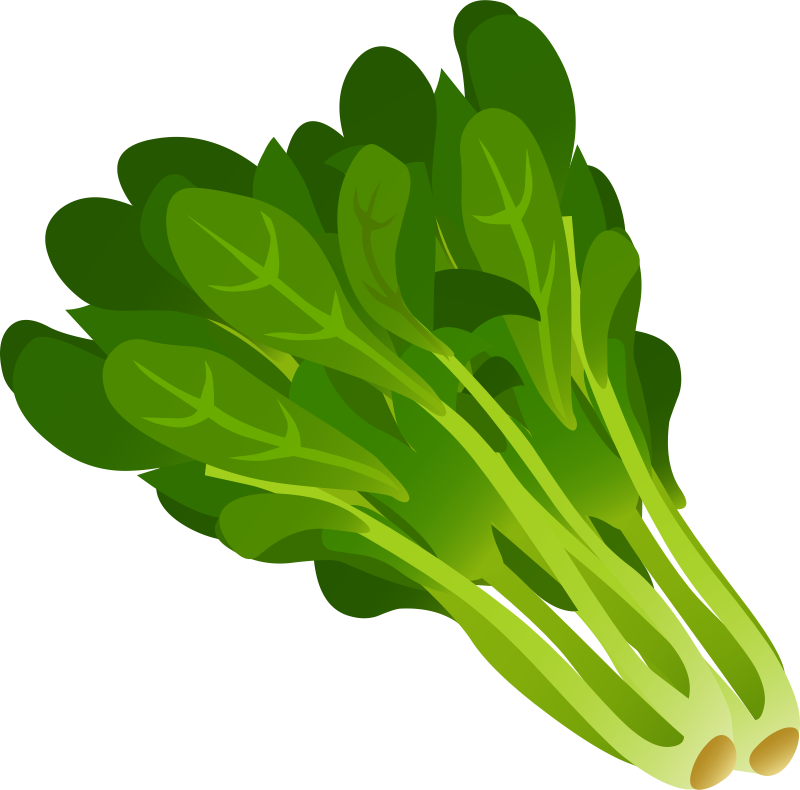 Spinach clipart #20, Download drawings