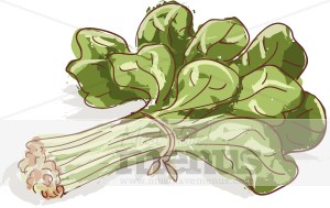 Spinach clipart #2, Download drawings