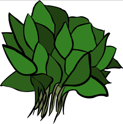 Spinach clipart #16, Download drawings