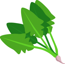 Spinach clipart #17, Download drawings