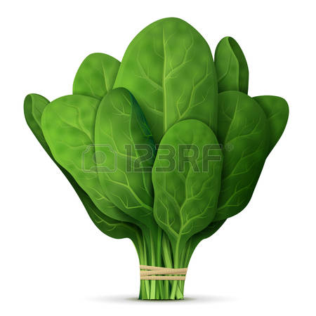 Spinach clipart #11, Download drawings