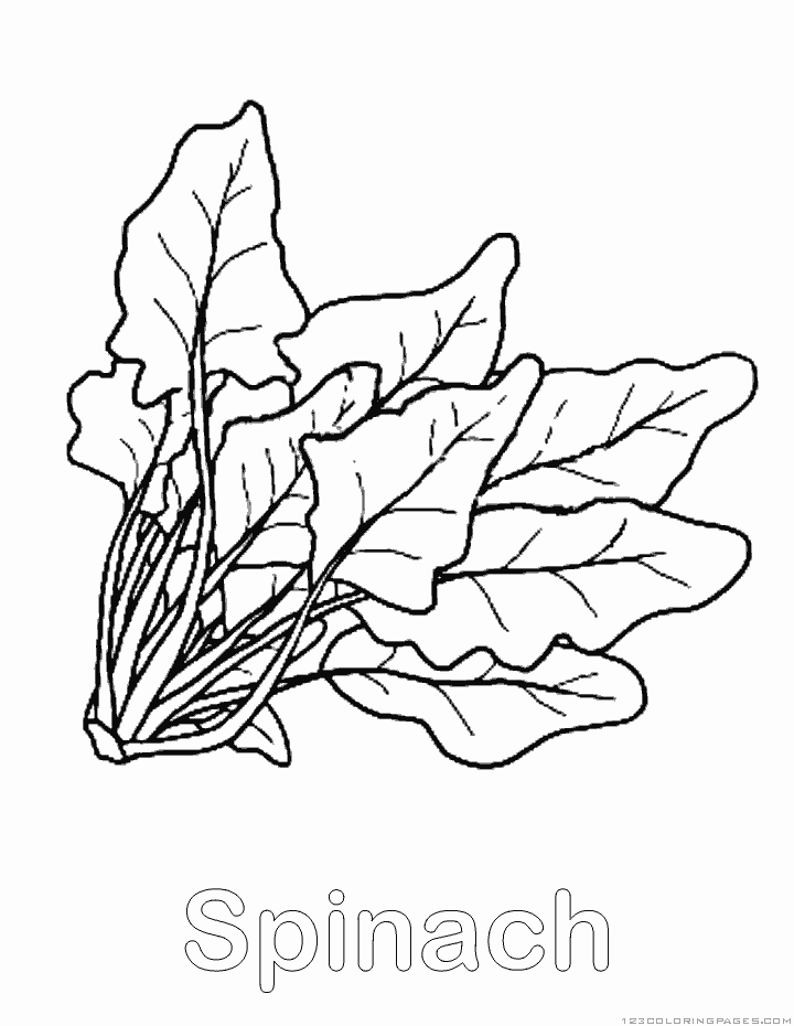 Spinach coloring #16, Download drawings