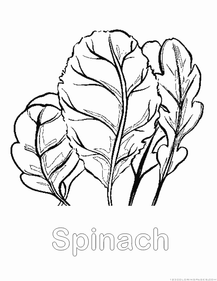 Spinach coloring #11, Download drawings