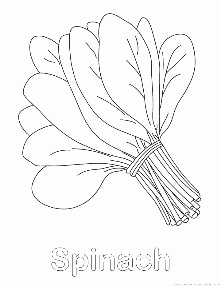 Spinach coloring #17, Download drawings