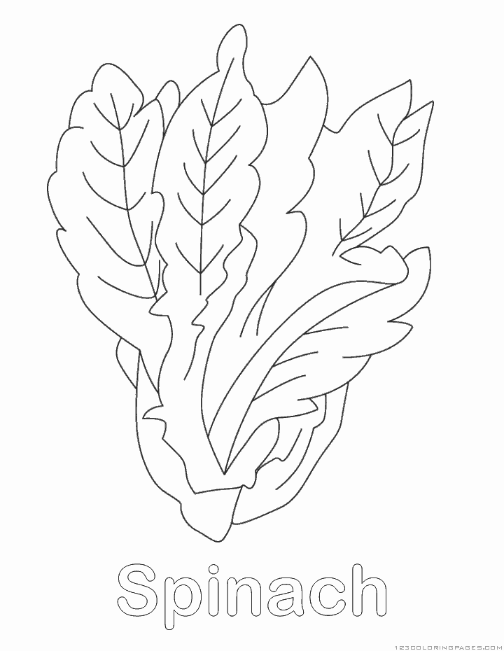 Spinach coloring #15, Download drawings