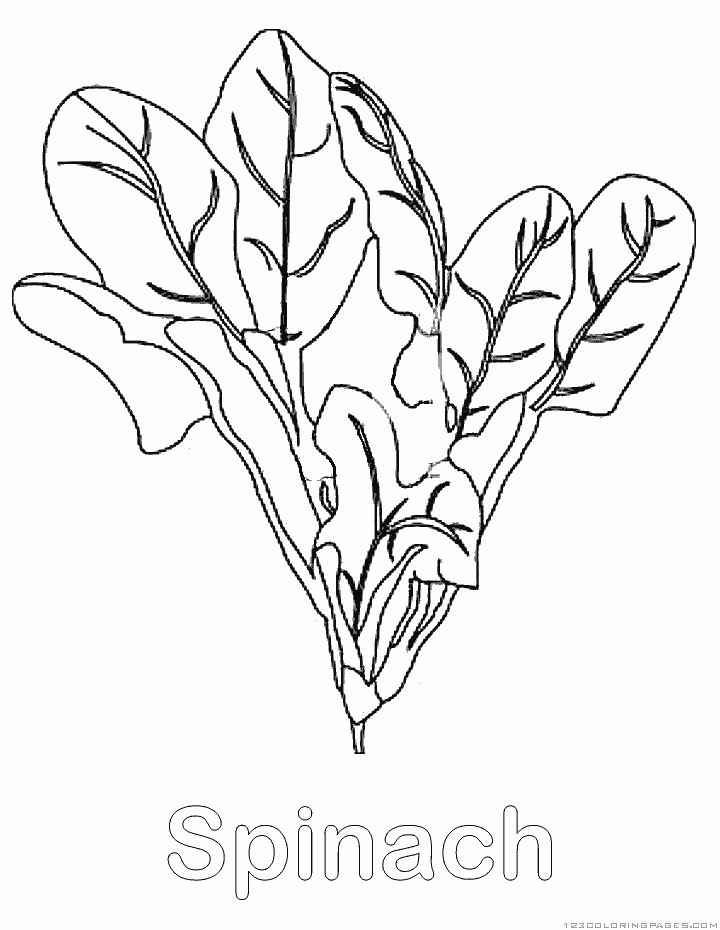 Spinach coloring #13, Download drawings