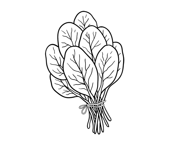 Spinach coloring #6, Download drawings
