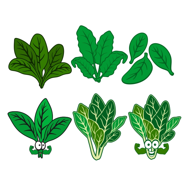 Spinach svg #19, Download drawings