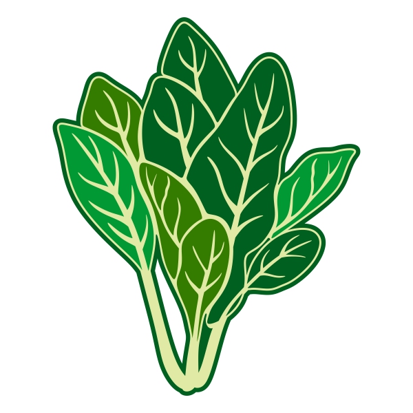 Spinach svg #18, Download drawings