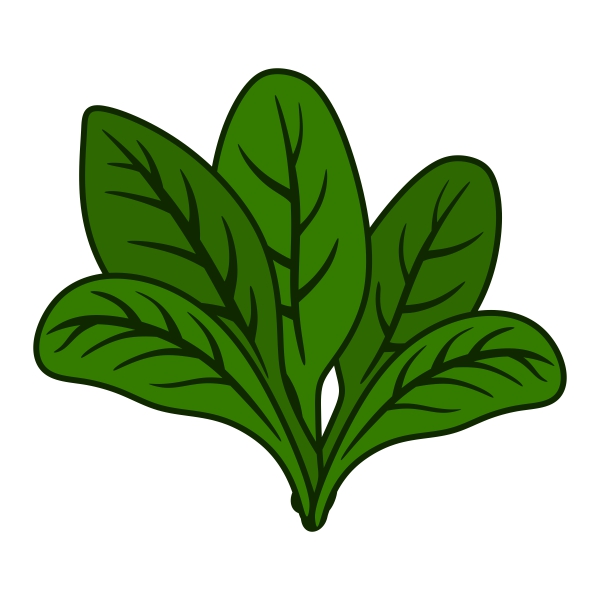Spinach svg #17, Download drawings
