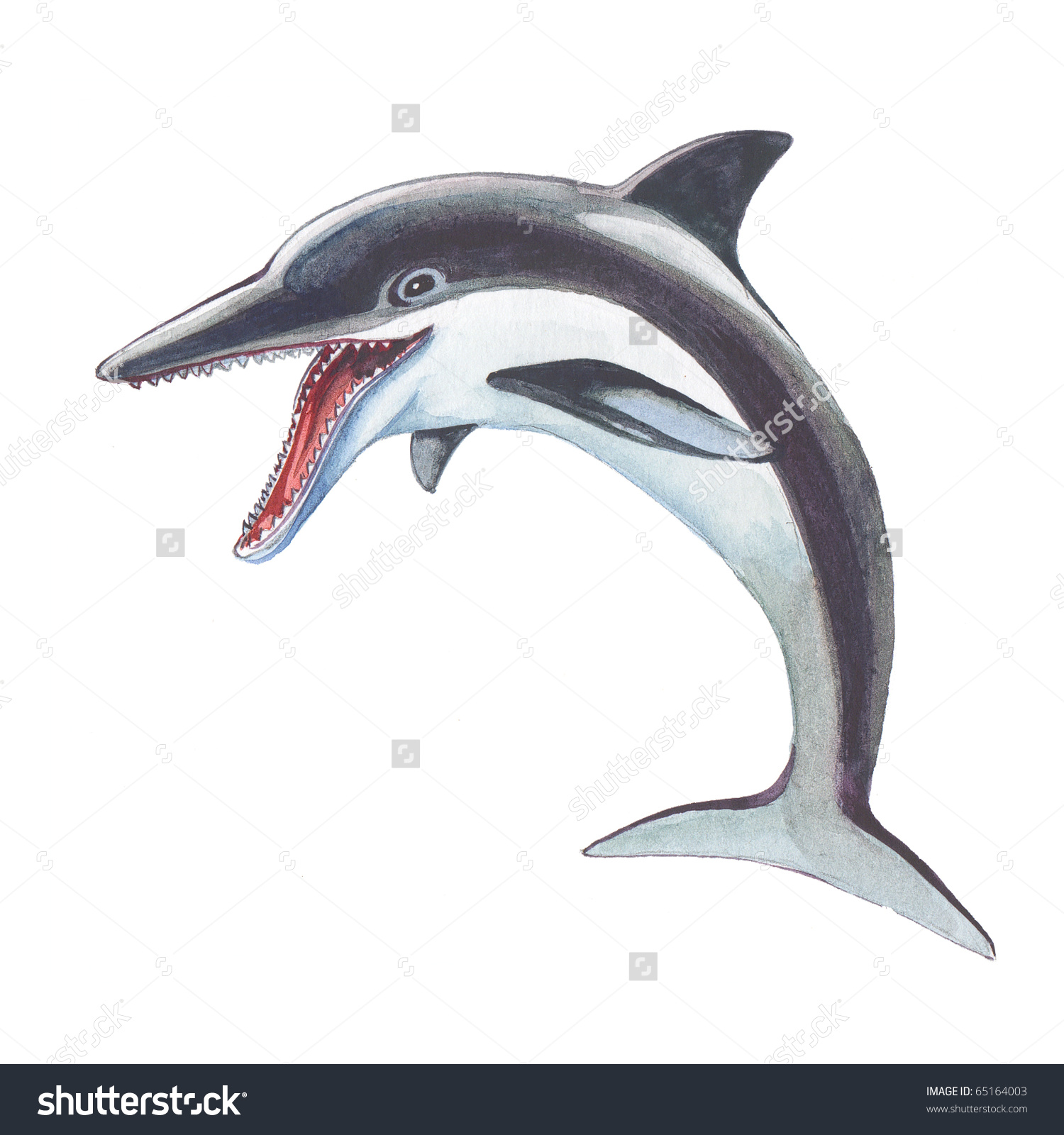 Spinner Dolphin clipart #12, Download drawings