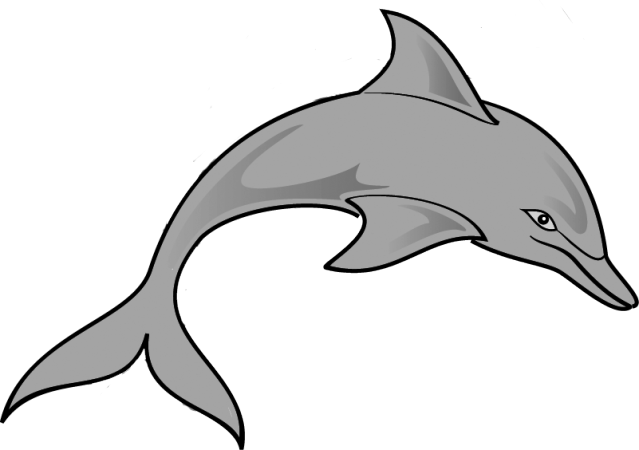 Spinner Dolphin clipart #6, Download drawings