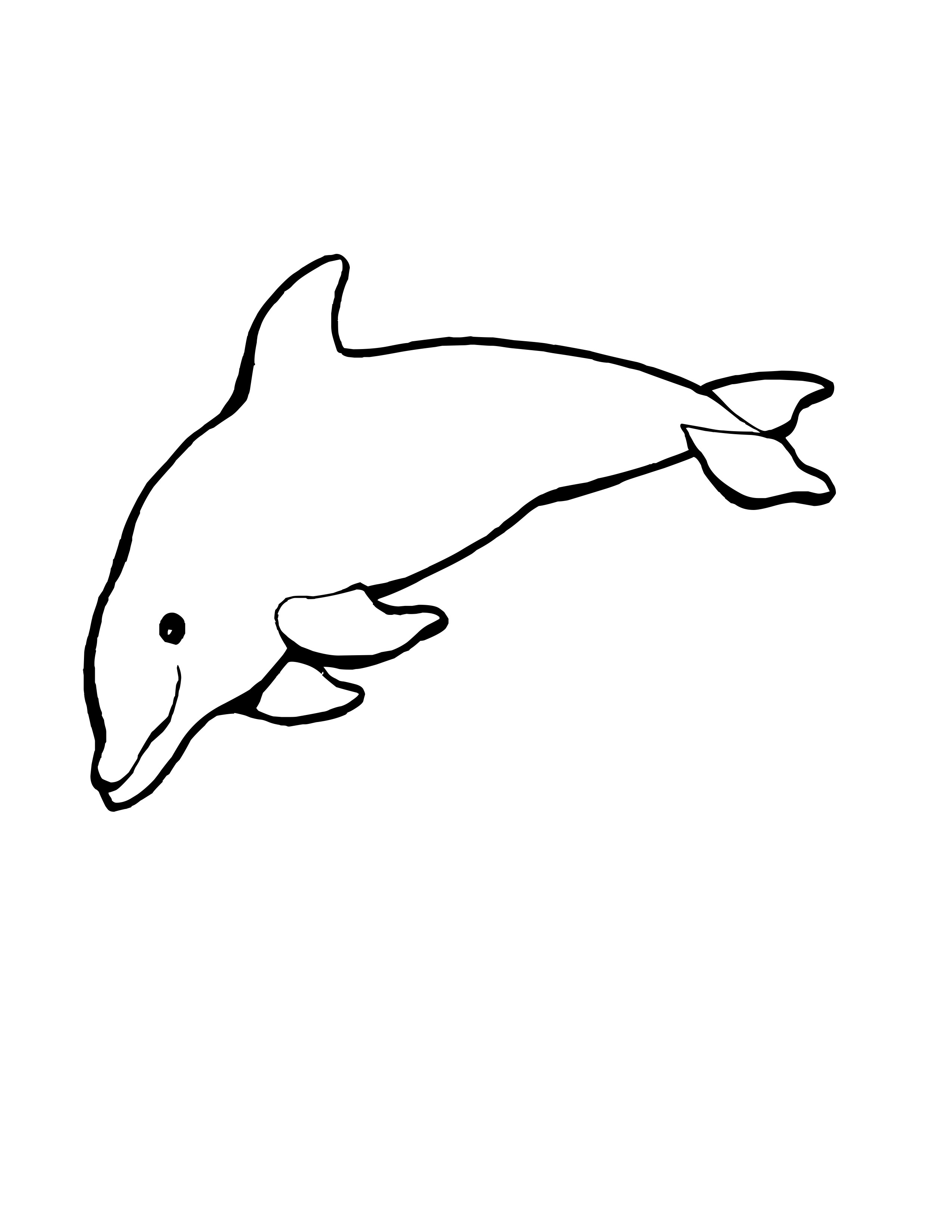Spinner Dolphin coloring #1, Download drawings