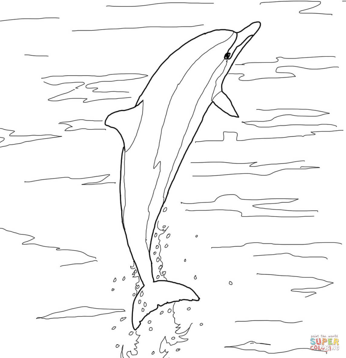 Spinner Dolphin coloring #12, Download drawings