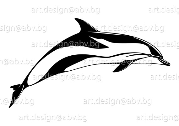 Spinner Dolphin svg #15, Download drawings