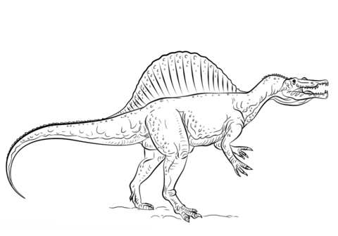 Spinosaurus coloring #20, Download drawings