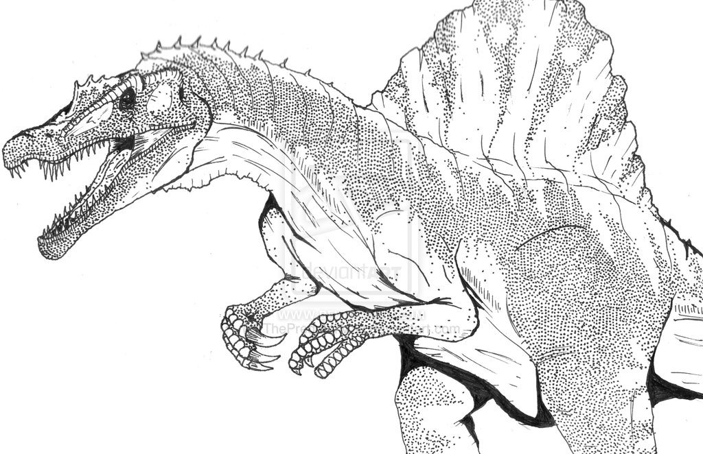 Spinosaurus coloring #9, Download drawings