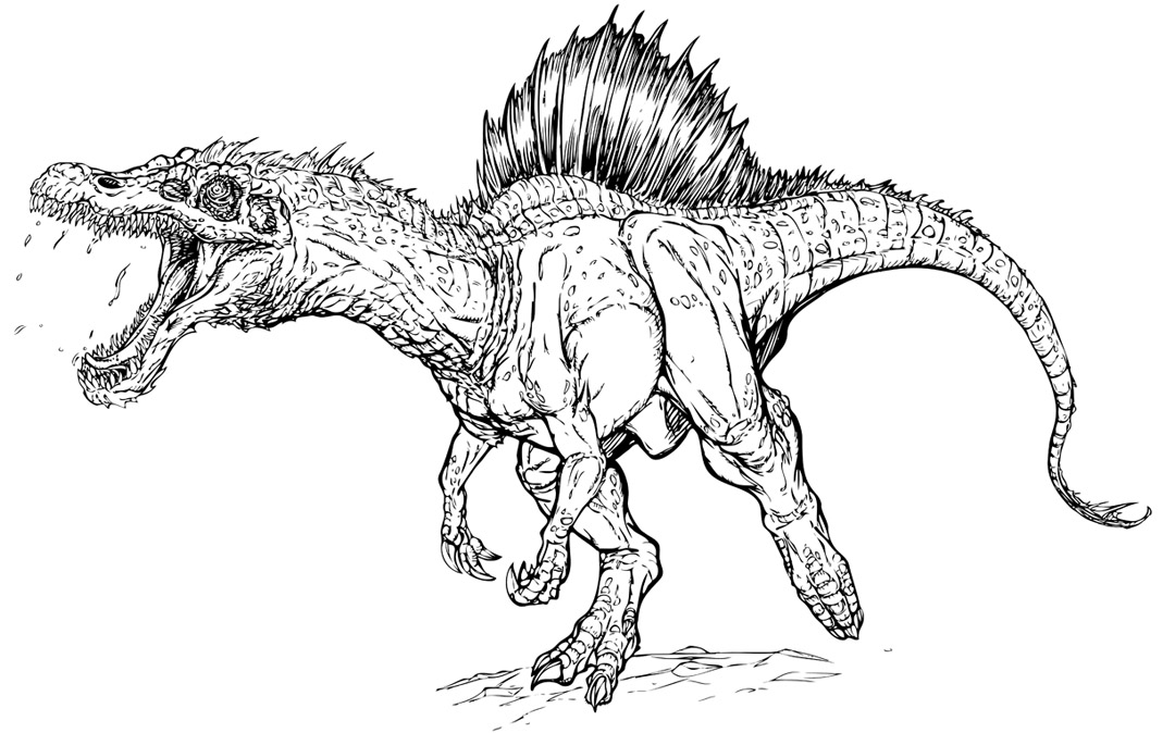 Spinosaurus coloring #3, Download drawings