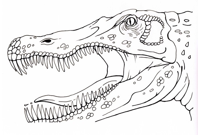 Spinosaurus coloring #8, Download drawings