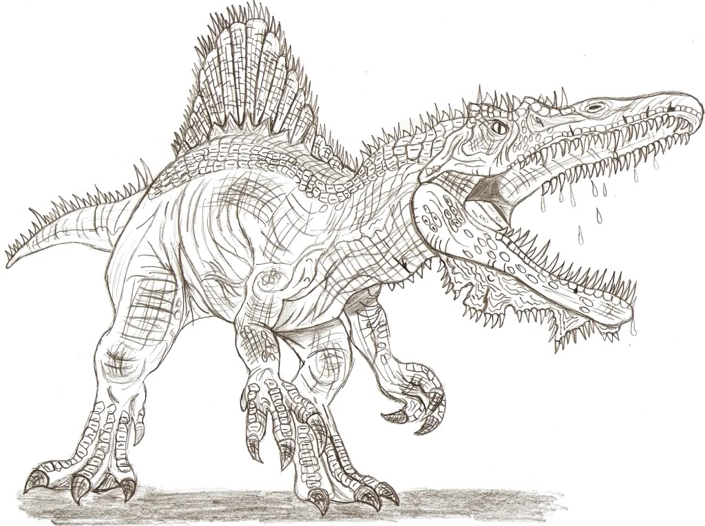 Spinosaurus coloring #10, Download drawings