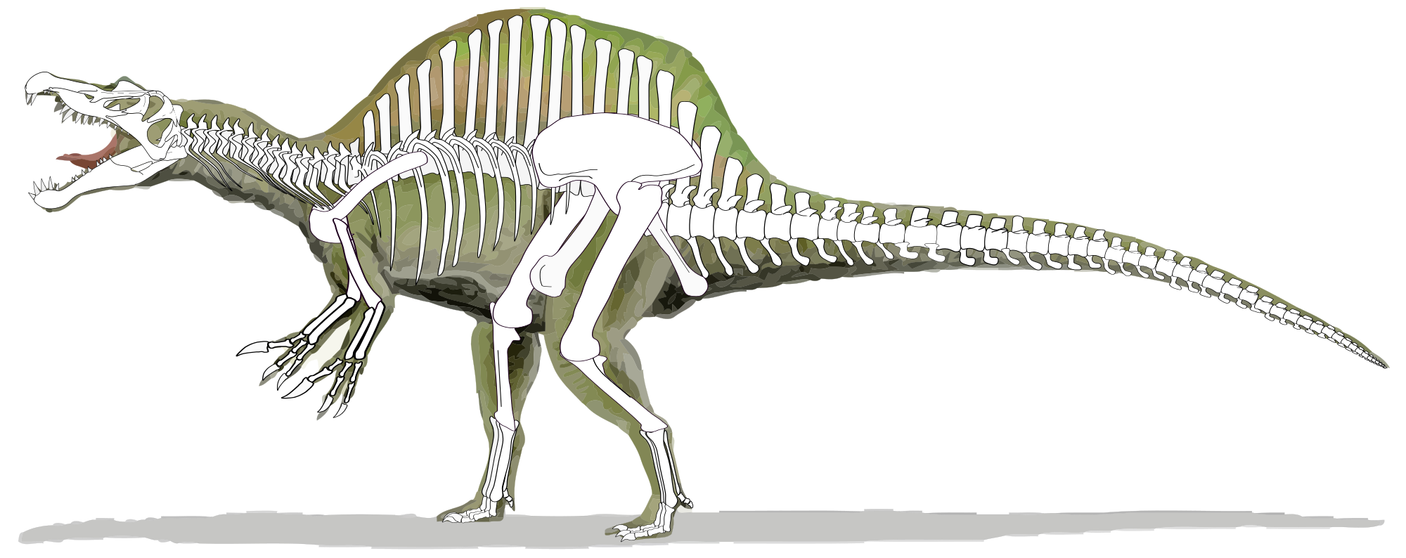 Spinosaurus svg #14, Download drawings