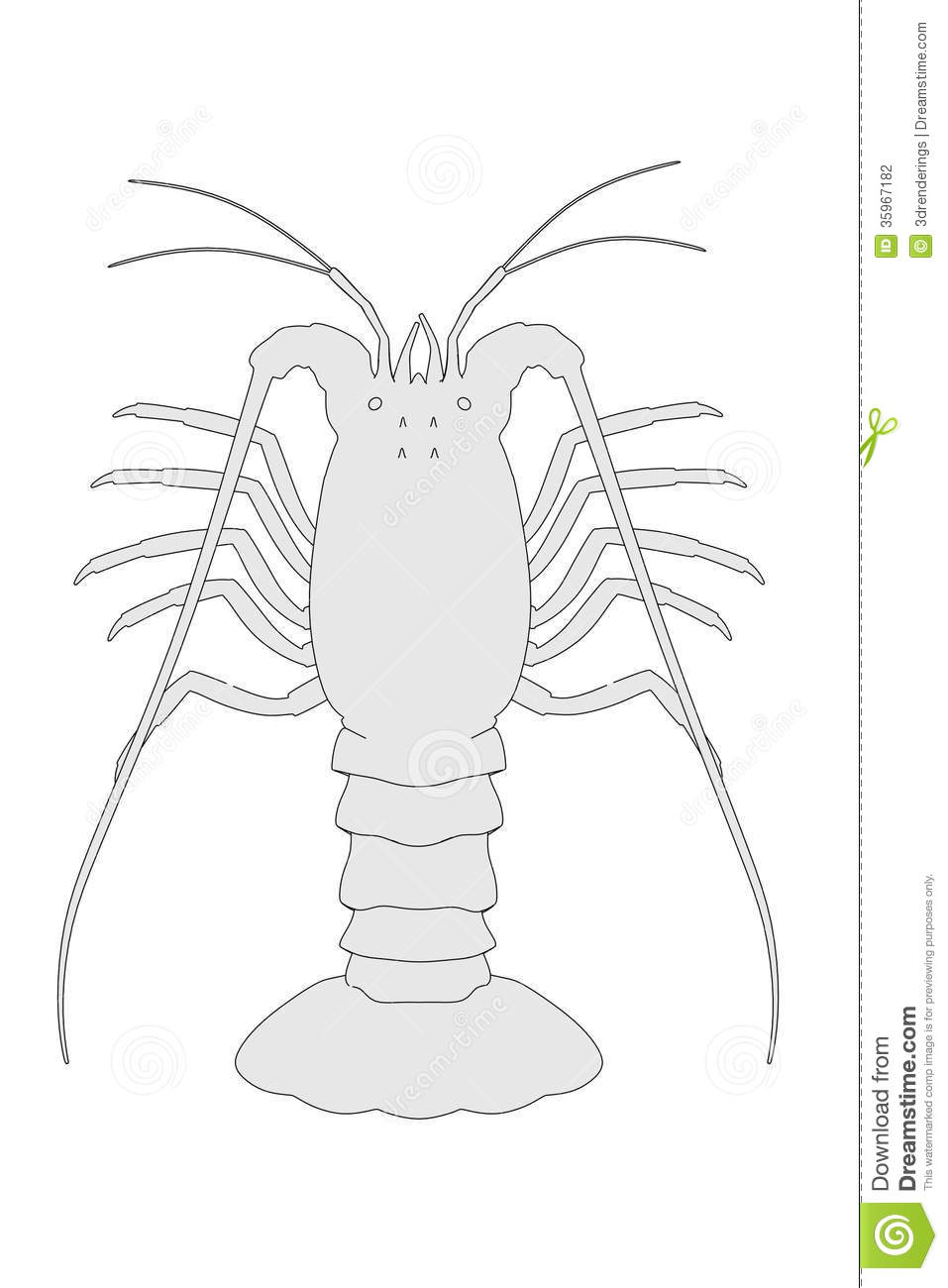 Spiny Lobster clipart #18, Download drawings