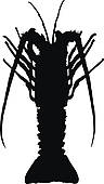 Spiny Lobster clipart #5, Download drawings