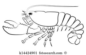 Spiny Lobster clipart #15, Download drawings