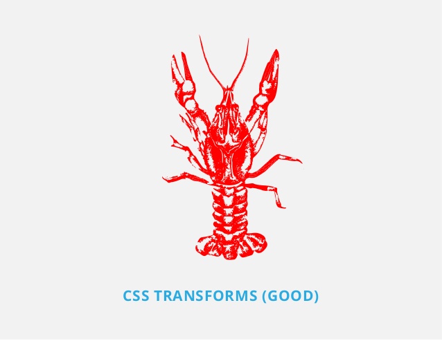 Spiny Lobster svg #8, Download drawings