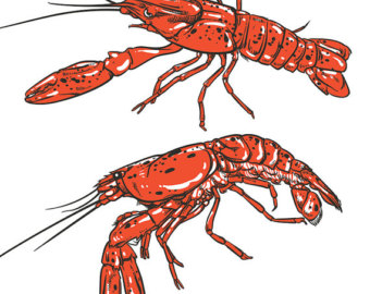 Spiny Lobster svg #11, Download drawings