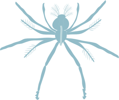Spiny Lobster svg #5, Download drawings